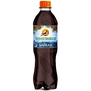 Напитки из Черноголовки 0,5л Байкал заказ бар