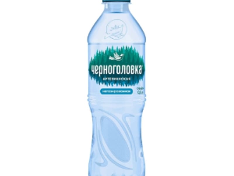 Черноголовка Вода мин.негаз. для детей 0,5л